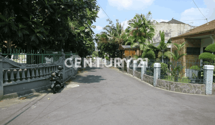 Rumah 1o Menit Dari Ugm Dengan Fasilitas Kolam Renang 2