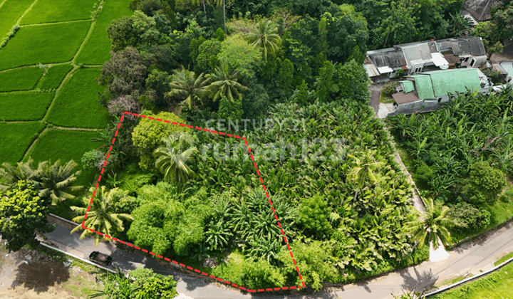 Tanah Luas 773 M2 Di Pondowoharjo Sleman Cocok Untuk Investasi 