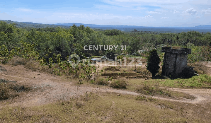 Tanah Potensial Jalan Baron Gunung Kidul Di Tepi Jalan Provinsi Tanah Potensial Jalan Baron Gunung Kidul Di Tepi Jalan Provinsi