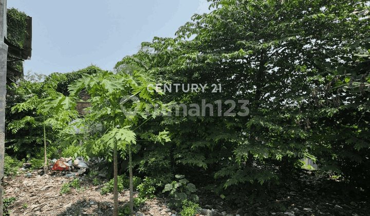 Tanah Lt 563 M Belakang Kampus 3 Atma Jaya Babarsari 2
