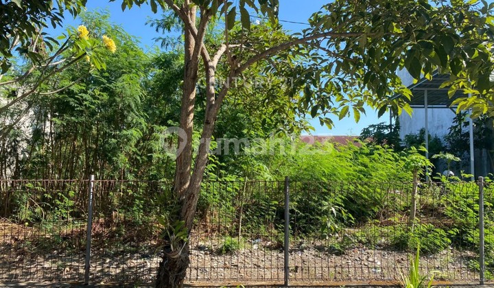 Tanah Luas 218 M2 Di Ngestiharjo Cocok Untuk Dibangun Hunian