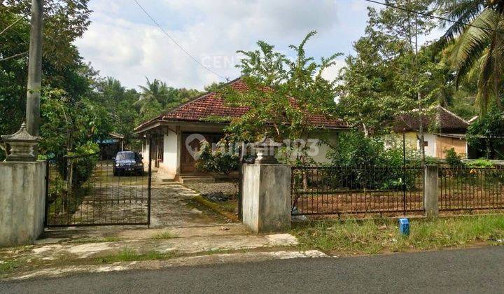Rumah Halaman Luas Di Kalibawang Cocok Untuk Keluarga Besar 1