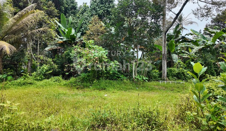 Tanah Hoek Dengan Luas 134 M2 Di Turi Cocok Untuk Dibangun Hunian