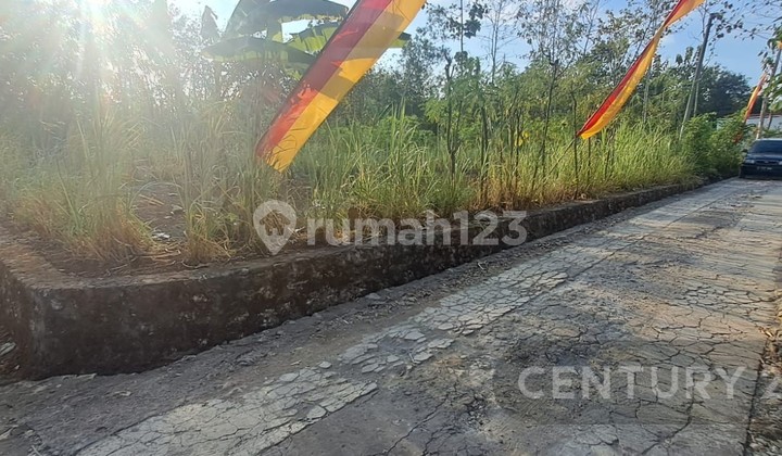 Tanah Luas 1000 M2 LD 20 M2 Siap Bangun Cocok Untuk Tanah Kavling Tanah Luas 1000 M2 LD 20 M2 Siap Bangun Cocok Untuk Tanah Kavling