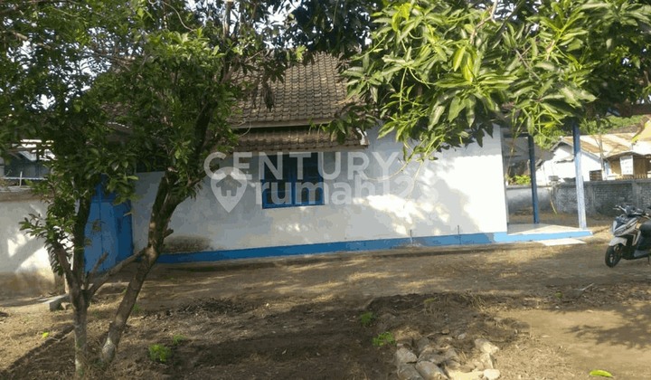 Selling Land with Free House Bonus Sadari Ampenan Mataram 2