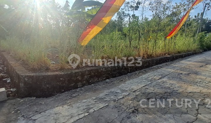 Tanah Luas 1000 M2 LD 20 M2 Siap Bangun Cocok Untuk Tanah Kavling Tanah Luas 1000 M2 LD 20 M2 Siap Bangun Cocok Untuk Tanah Kavling