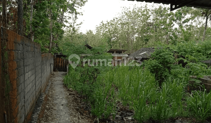 Tanah Pekarangan Luas 860 M2 Di Wonosari Cocok Untuk Investasi Tanah Pekarangan Luas 860 M2 Di Wonosari Cocok Untuk Investasi