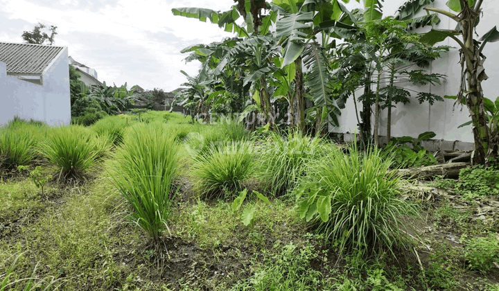 Tanah Luas 1025 M2 Lokasi Strategis Di Condongcatur Depok Sleman