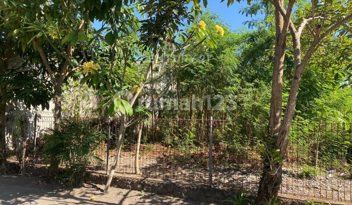 Tanah Luas 218 M2 Di Ngestiharjo Cocok Untuk Dibangun Hunian