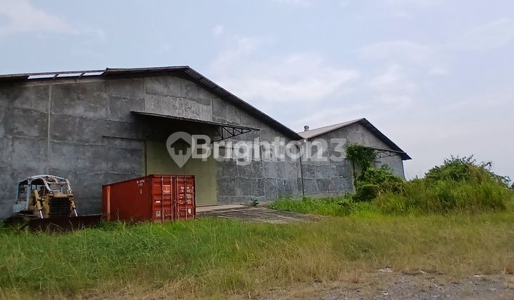 SEWA GUDANG KETAPANG Bandar Lampung 1