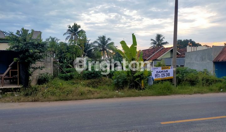 TANAH JALAN LINTAS SUMATRA GUNUNG SUGIH TERBANGGI BESAR LAMPUNG TENGAH 2