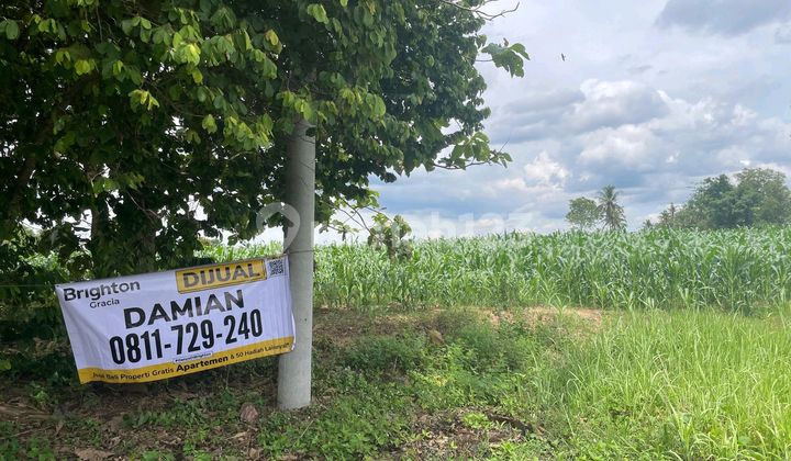 Tanah Luas Lokasi Strategis Natar Lampung Selatan