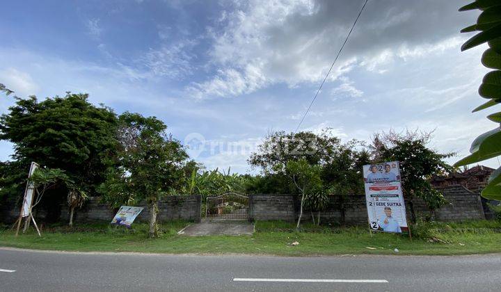 Investasi Tanah di Tegal Badeng Barat, Jembrana. 1