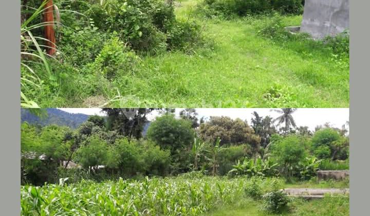 Tanah & Bangunan Sarang Walet di Sanggalangit, Singaraja