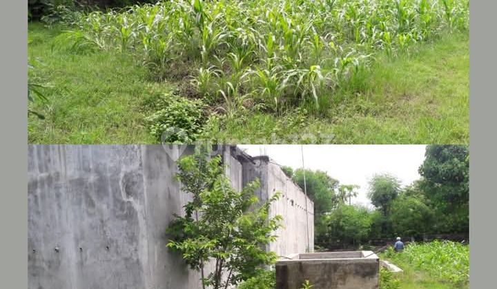 Tanah & Bangunan Sarang Walet di Sanggalangit, Singaraja