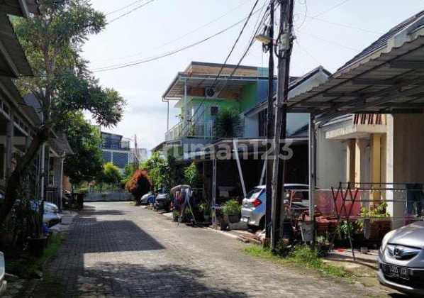 Pinus Reg. 362.2jt Lt72 Lb51 Shm Kt2 Km1 Oke Lah Lelang 2