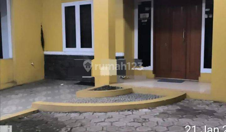 Pinus Reg. 400jt Lt112 Lb70 Shm Kt2 Murah Lelang 1