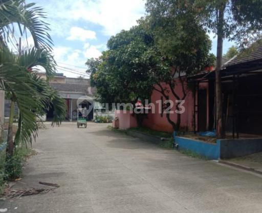 Pohon Mangga Reg. 380,1jt Lt145 Lb58 Shm Kt2 Km1 Luar Biasa Lelang