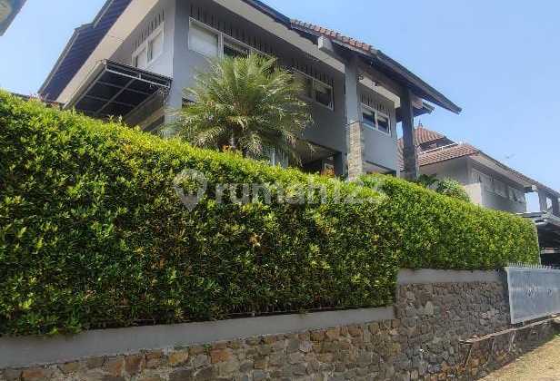 Dago Giri Lt577 Lb300 2.9mlyr 2lt. Shm Kt5 Km4 L Dago Giri Lt577 Lb300 2.9mlyr 2lt. Shm Kt5 Km4 L