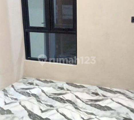 Sayap Kircon 950jt Lt60 Lb80 Shm2lt. Car2 3500w Bangun2025 Fresh From The Oven 2