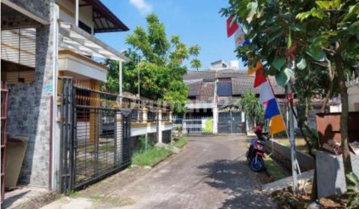 Venus 1.935mlyr Lt223 Lb184 Shm2lt. Kt3 Km3 Oke Doke Lelang 2