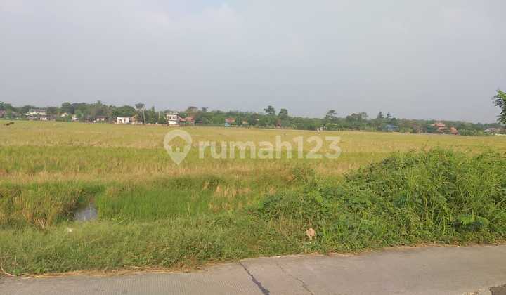 Jual Bu Tanah Cikarang Pusat Cocok Untuk Industri Atau Residence