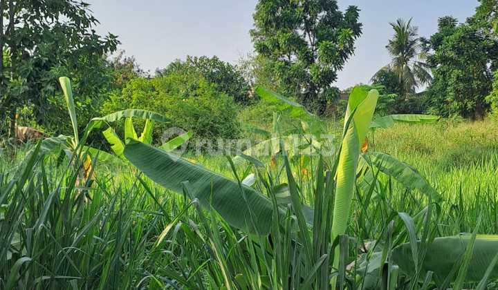LAND PLOTS IN SOUTH TANGERANG SUITABLE FOR HOUSING