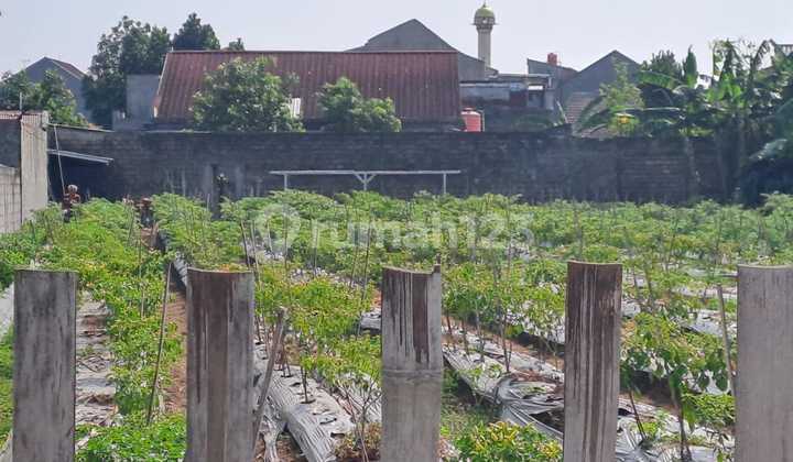 Cheap Sale of SHM Land 1282M2 in Goodyear Complex, Ciomas, Bogor Cheap Sale of SHM Land 1282M2 in Goodyear Complex, Ciomas, Bogor