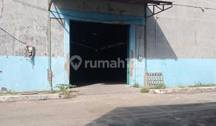 Disewakan Gudang Di Daerah Rorotan Jakarta Utara