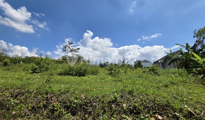 Ready-to-build plot, suitable for building a residence and boarding house