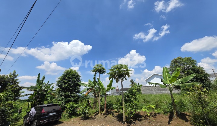 Ready-to-build land, profitable investment. Ready-to-build land, profitable investment.