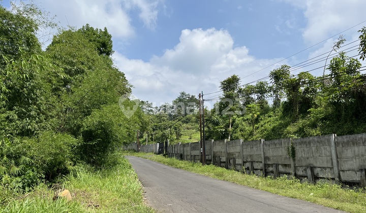 Hanya 1 Unit! Tanah Poros Jalan Sejuk, Investasi Terbaik Dekat Kawasan Industri, Jangan Sampai Terlewat!