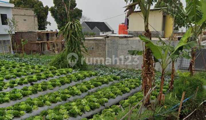 Dijual Tanah Daerah Wangunsari Lembang Dijual Tanah Daerah Wangunsari Lembang
