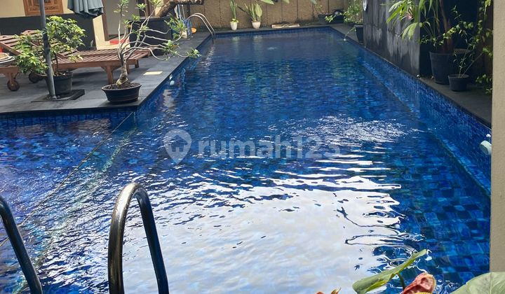 Rumah Mewah Camar Bintaro Sektor 3 Tangsel LT 438 LB 600 SHM Kolam Renang Rumah Mewah Camar Bintaro Sektor 3 Tangsel LT 438 LB 600 SHM Kolam Renang