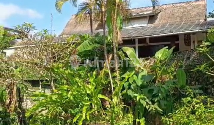 Butuh Uang Tanah Gratis Villa 10 Are Rp 750jt/are ********