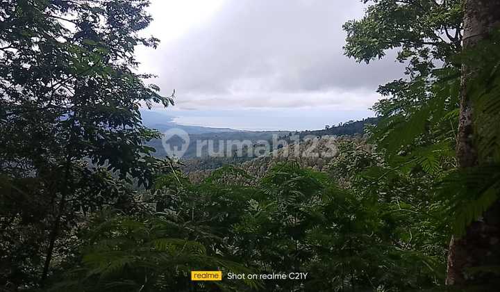 Jual Tanah View Yg Sempurna..laut.gunung Sawah .berada Dipuncak Bali Luas 5 Hektar Rp 55jt/are /100m2