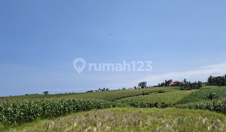 For Sale Beachfront Land Klecung Tabanan Bali