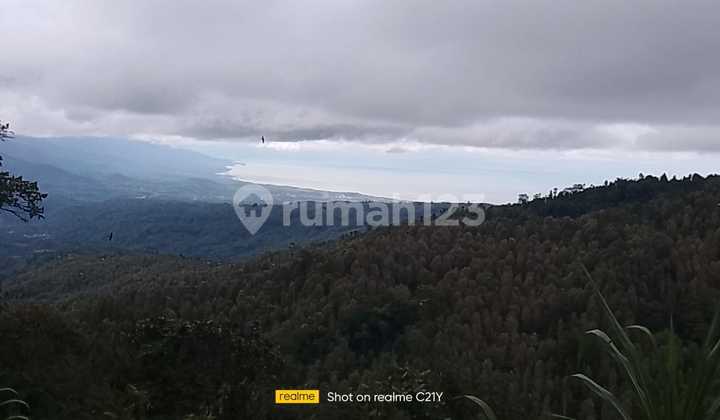 Puncak Bali Munduk Singaraja Luas 2,8htr Rp 55 Jt/are.view Yg Indah 