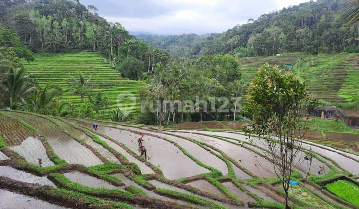 Jual Tanah View Memukau Di Tabanan Luas 1,8 Htr