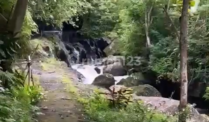 Ubud Loas Sungai Dan Sunber Air Luas 44,4 Are Rp 400jt/are