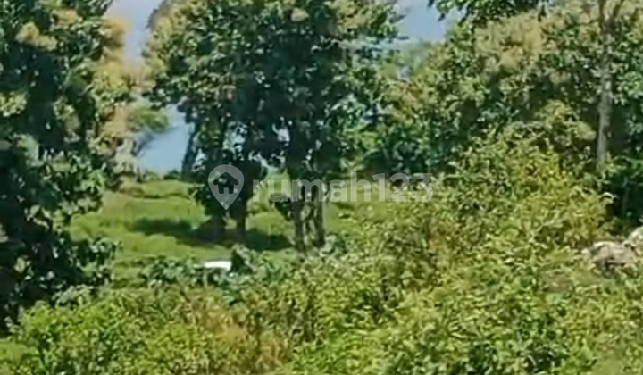 Land for Sale in Bingin Cemongkak, Area 786, Price IDR 1.6 million per are