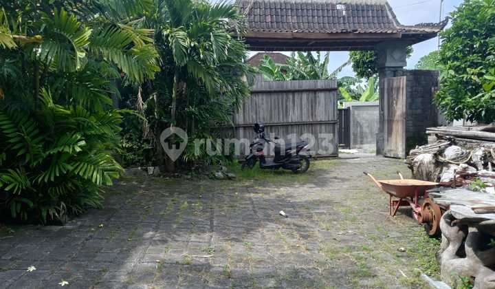 Tanah Dekat Wisata Seminyak Kerobokan Ags Ekat Sekolah Bali Kiddy Luas 1,8 Are Rp 1 Miyar/are Tanah Dekat Wisata Seminyak Kerobokan Ags Ekat Sekolah Bali Kiddy Luas 1,8 Are Rp 1 Miyar/are