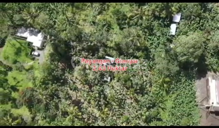 Jual Tanahlos Sungai Peyangangan Vew Lembah Dv Tanah Hak Pakai di Payangan