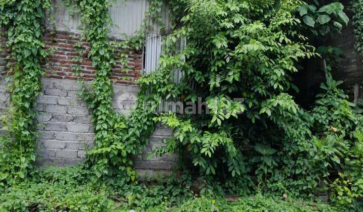 Tanah Jual Di Cargo Permai Luas 1,2 Are Hrg Global Rp 750 Jt Tanah Jual Di Cargo Permai Luas 1,2 Are Hrg Global Rp 750 Jt