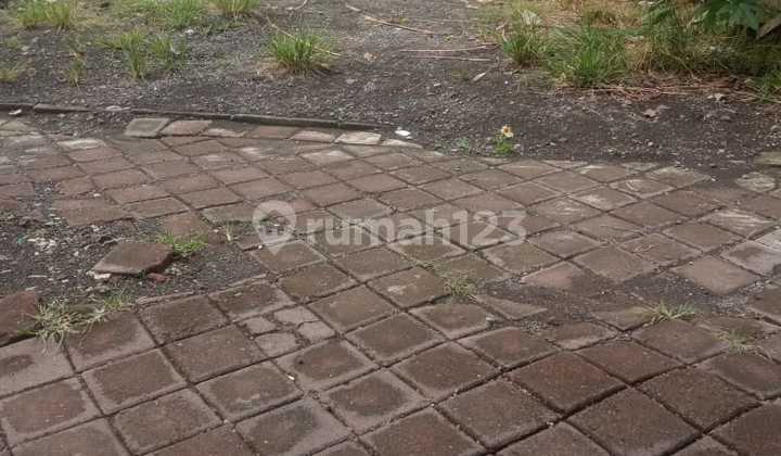 Pererenan Canggu Land. Area 6 Are, Rp1.5M per Are.