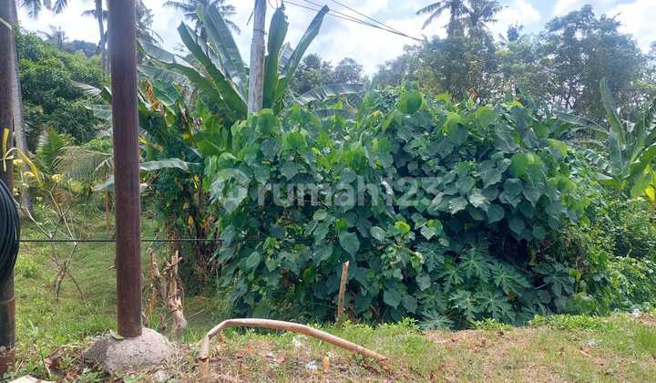 For Sale By Pass Ketewel 35 Are Rp 550 Jt/Are