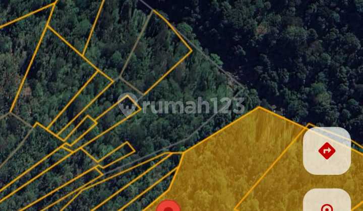 Jual Kebun 6 Htr Tabanan.duren.kopi.manggis Ass