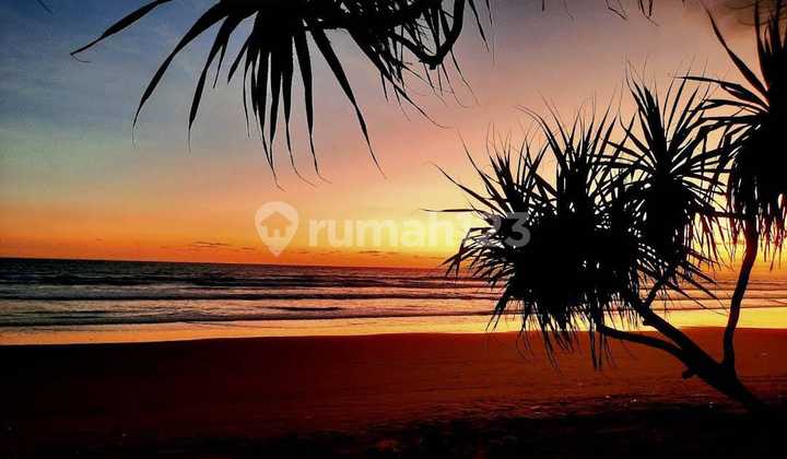 Tanah Los Pantai Pekutatan Negara Bonus Villa Luas2,5htr Rp 180 Jt/are Tanah Los Pantai Pekutatan Negara Bonus Villa Luas2,5htr Rp 180 Jt/are