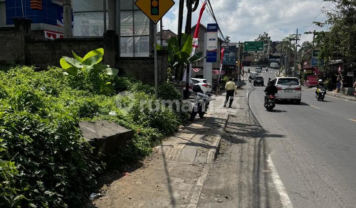 Ubud Central Cocok Buat Usaha Rsto Dll Luas 9,5are Harga Global 15,5milyar