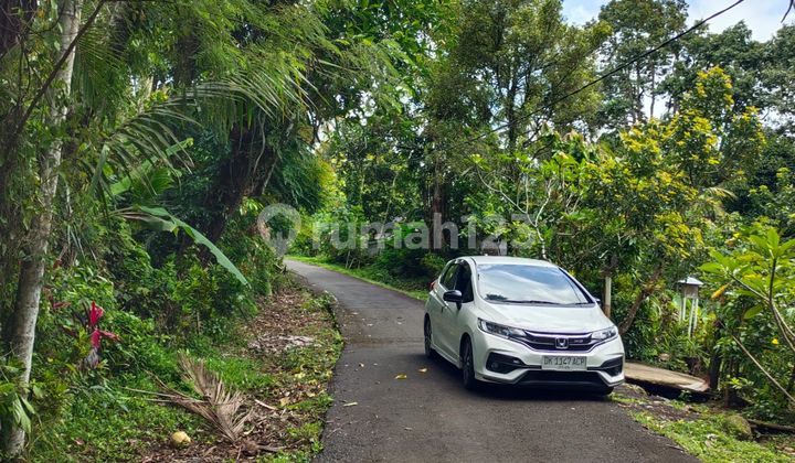 Jual Kebun Di Tabanan Luas 1,68 Htr Rp 17 Jt .k3